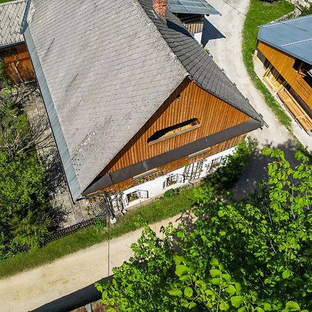 House, Garden And A Green Cat Bled Exteriör bild