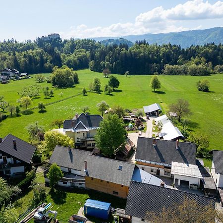 House, Garden And A Green Cat Bled Exteriör bild