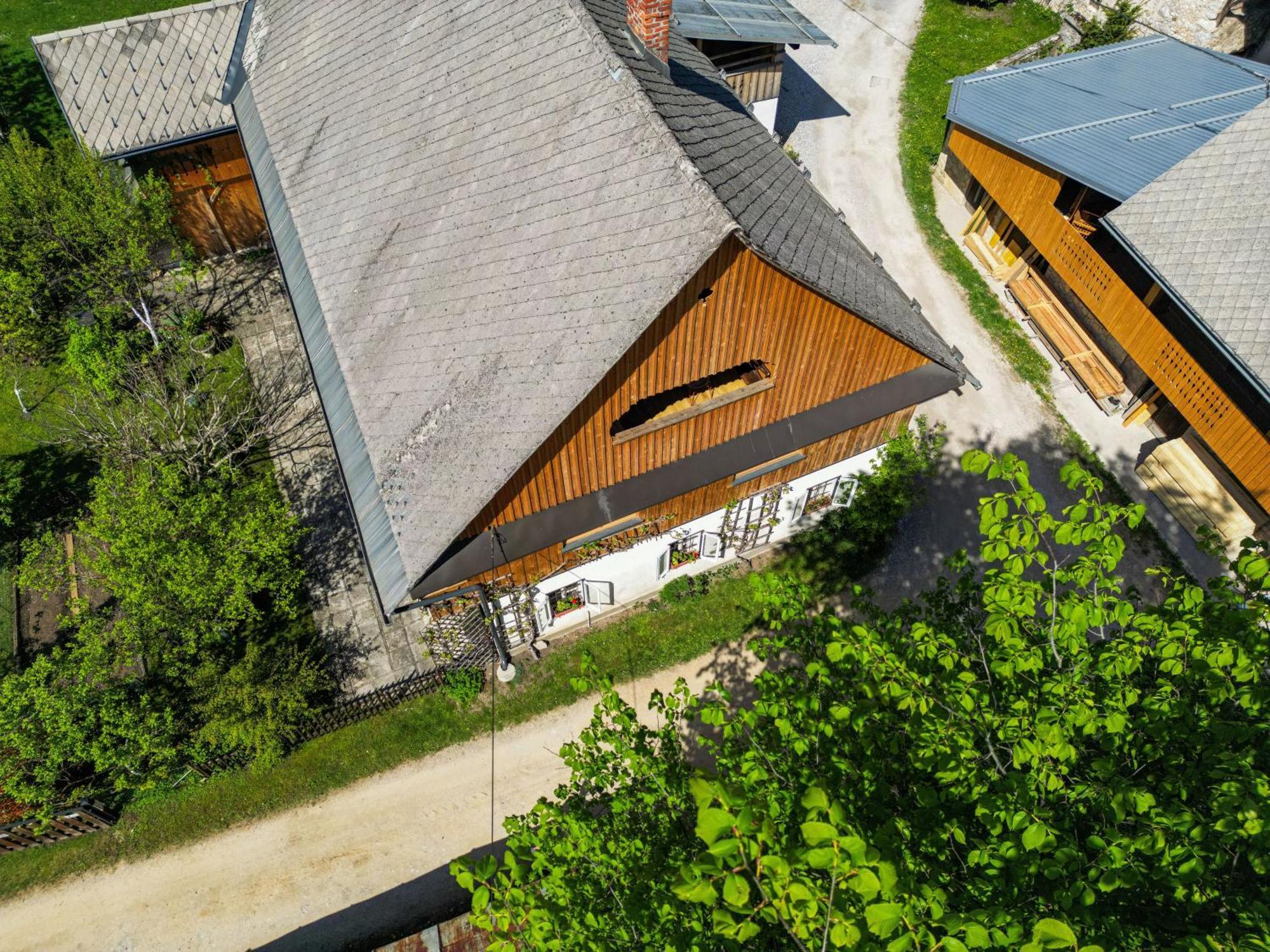 House, Garden And A Green Cat Bled Exteriör bild