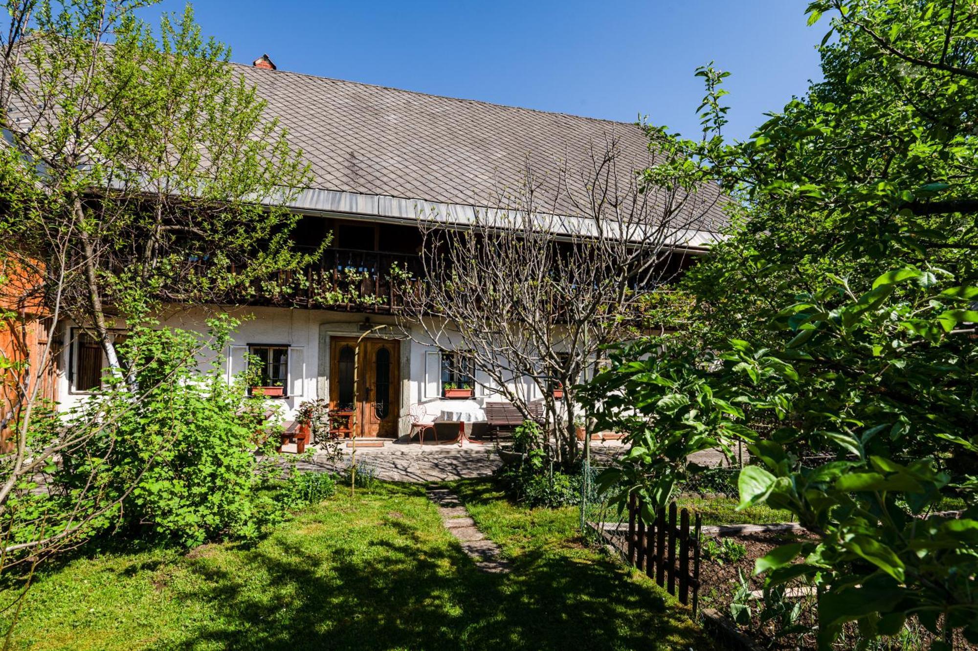 House, Garden And A Green Cat Bled Exteriör bild